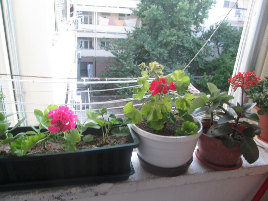 Guest House Marija Задар Екстериор снимка
